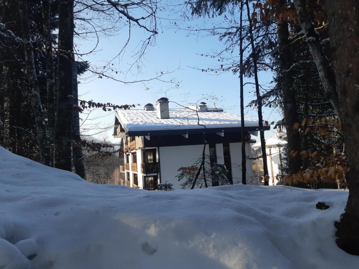 Appartement En Station De Ski A 700 M Des Telecabines Et 100 M Du Centre-Village Les Carroz d'Araches Exterior foto